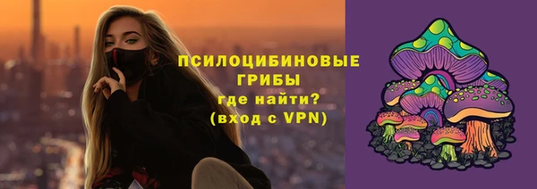 МДПВ Вязьма