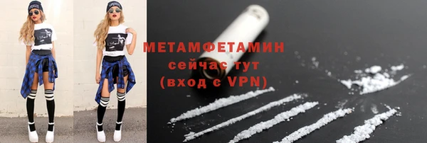 индика Волосово
