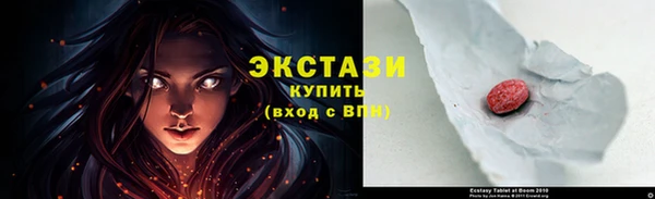индика Волосово