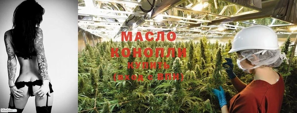 амф Вяземский