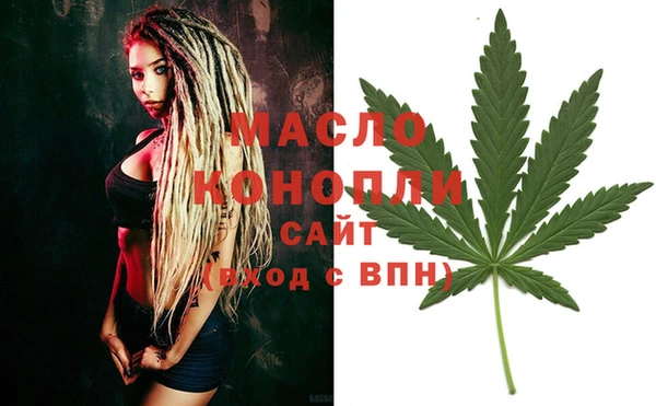 индика Волосово
