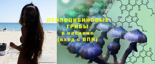индика Волосово