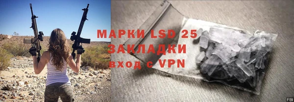 индика Волосово