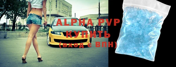 индика Волосово